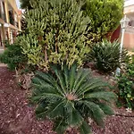 Soleil Altamar